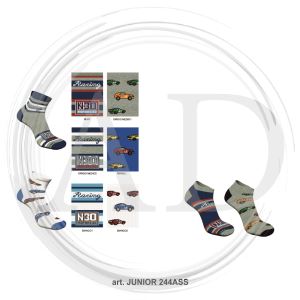 ASSORTIMENTO 244
