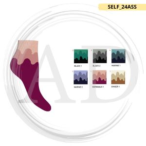 ASSORTIMENTO 24