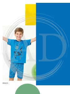 INDACO